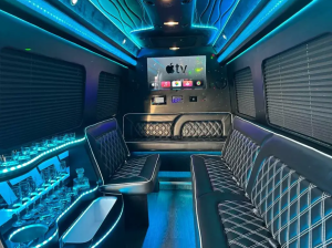limo sprinter van mercedes party bus limousine luxury luxe luxurious savannah hilton head tybee island sea pines okatie chechessee creek colleton river the landings stretch fancy style ride in as directed chauffeur chauffeured vechicle vehichles fleet black car truck service private driver professional executive champagne service high end expensive stylish premier pristine